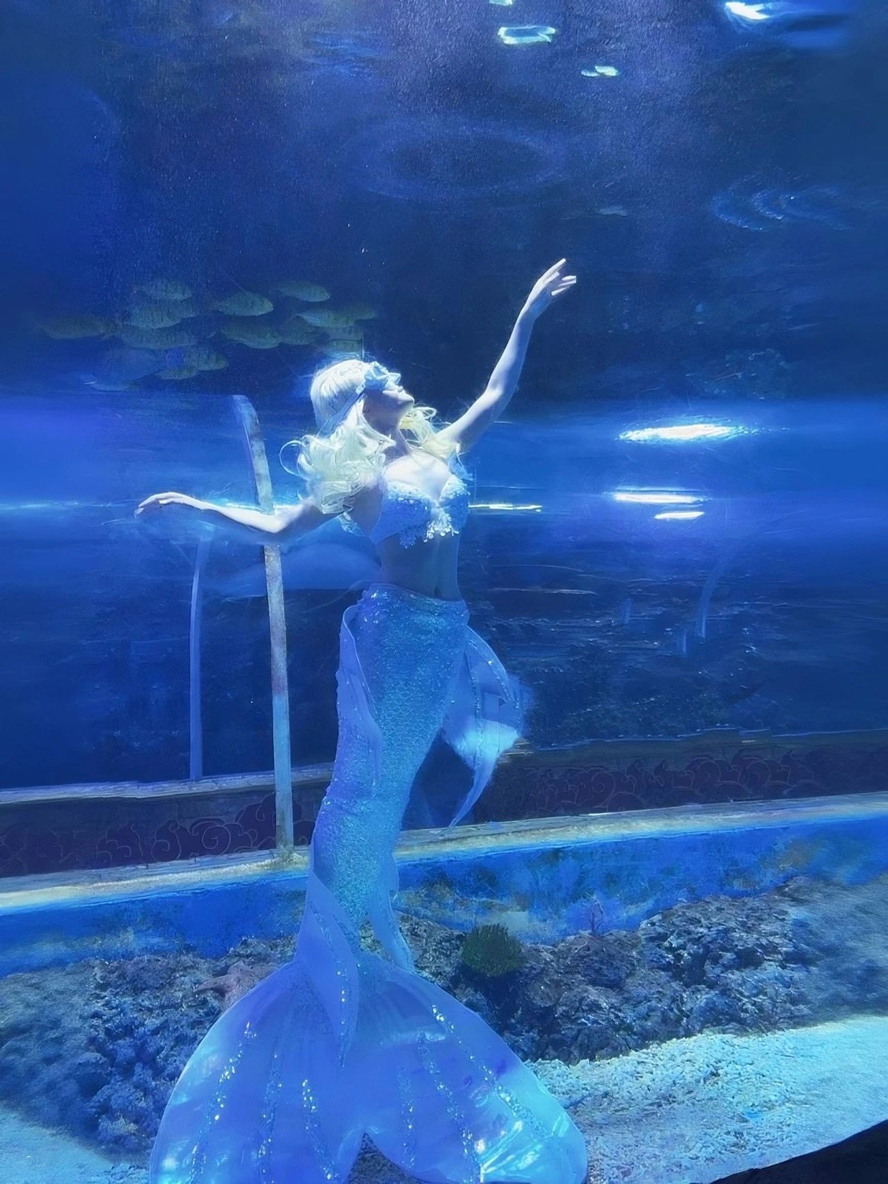 深圳觀瀾海洋世界