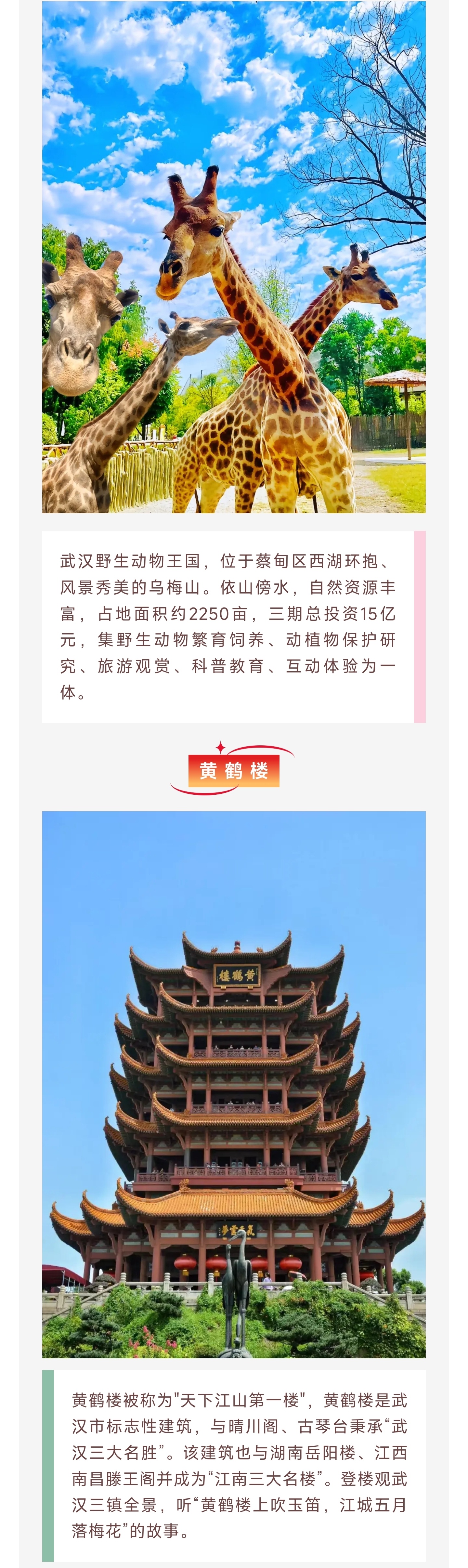 1_副本2.jpg