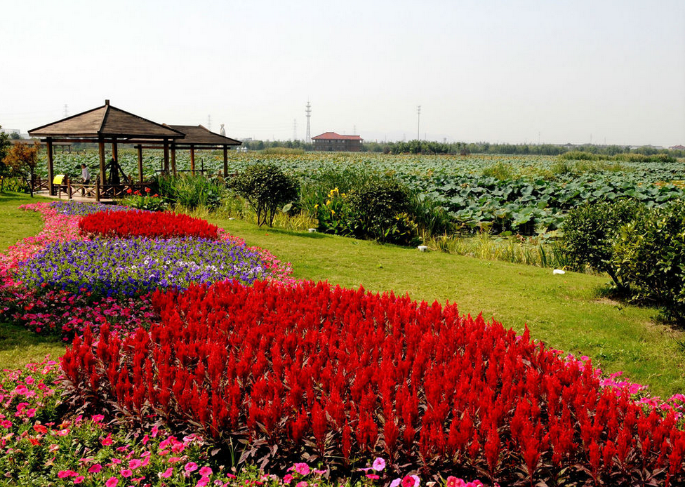 2025蘇州荷塘月色濕地公園門票預(yù)約+收費(fèi)價(jià)格+游玩亮點(diǎn)+開放時(shí)間