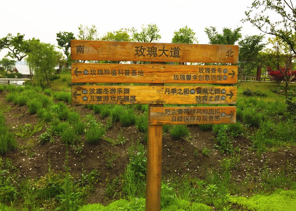無錫鵝湖玫瑰園