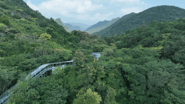 金華地下長河景區(qū)