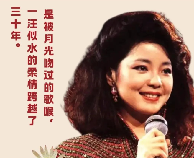 紀念鄧麗君30周年演唱會上海站