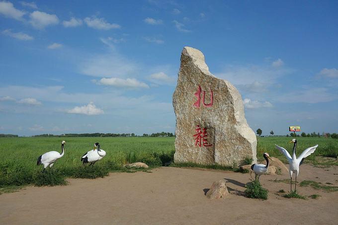 2025扎龍自然保護(hù)區(qū)游玩票價(jià)+門票預(yù)訂+景區(qū)亮點(diǎn)+觀鳥攻略