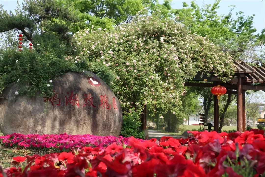 2025無(wú)錫鵝湖玫瑰園門票價(jià)格及收費(fèi)標(biāo)準(zhǔn)一覽(附游玩亮點(diǎn)+特色活動(dòng))