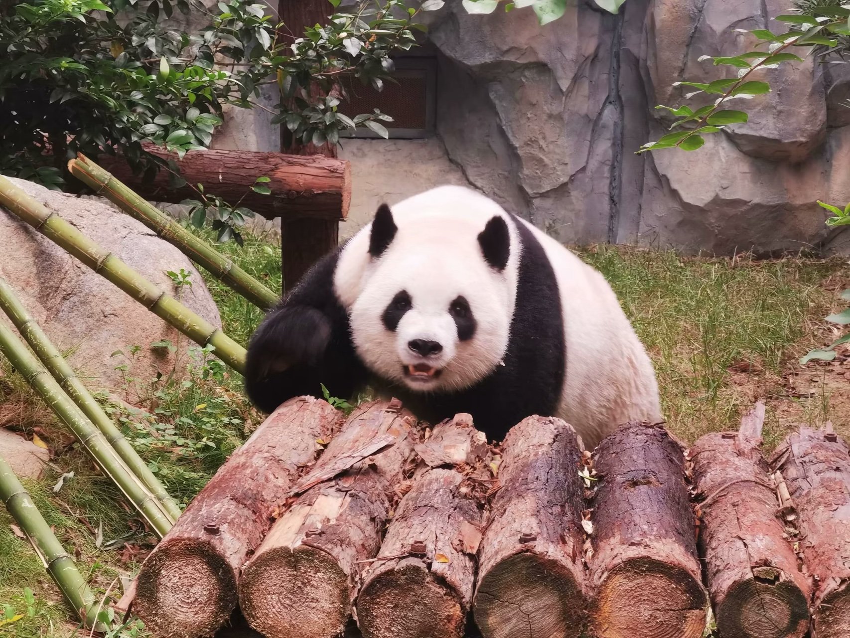 2025泉州海絲野生動物世界門票價格及游玩亮點一覽(附開放時間+特色項目)