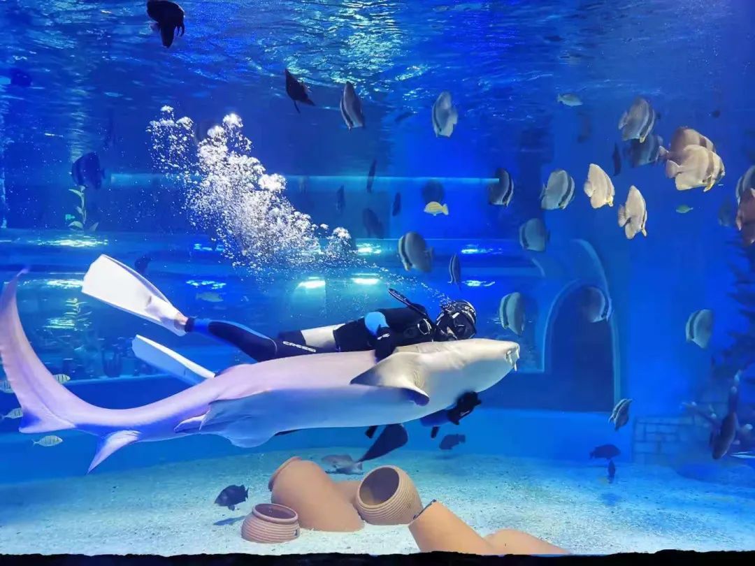 南山海世界海洋公園