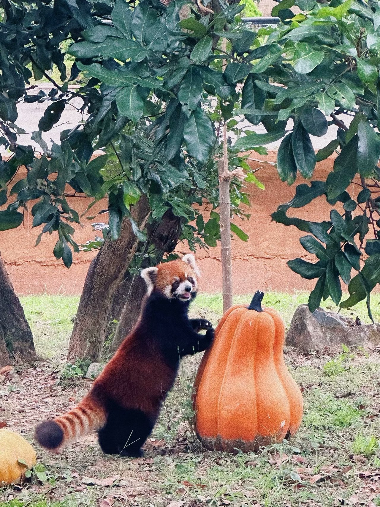 泉州海絲野生動物世界