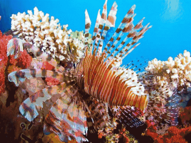 南山海世界海洋公園