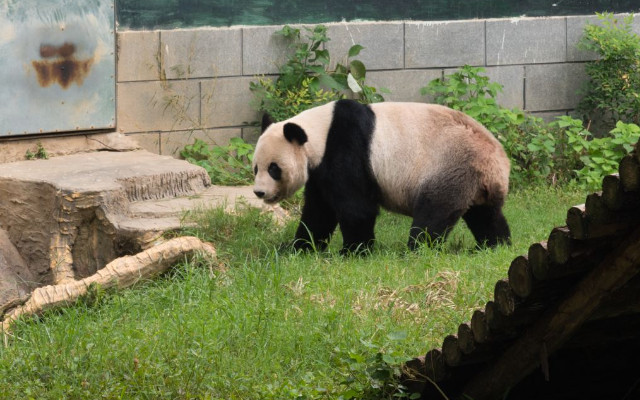 南昌動(dòng)物園