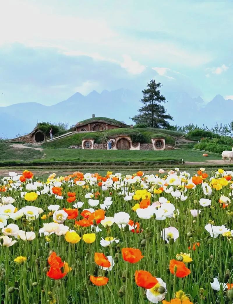 麗江百花園聽花谷