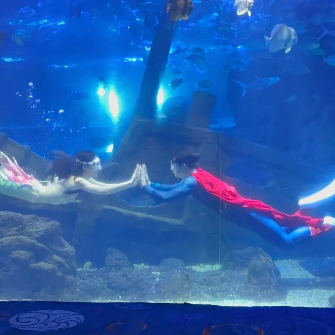 杭州江和美海洋公園