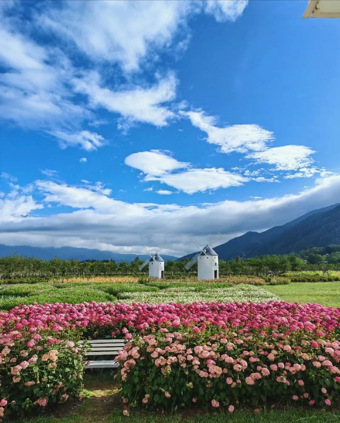 麗江百花園聽花谷