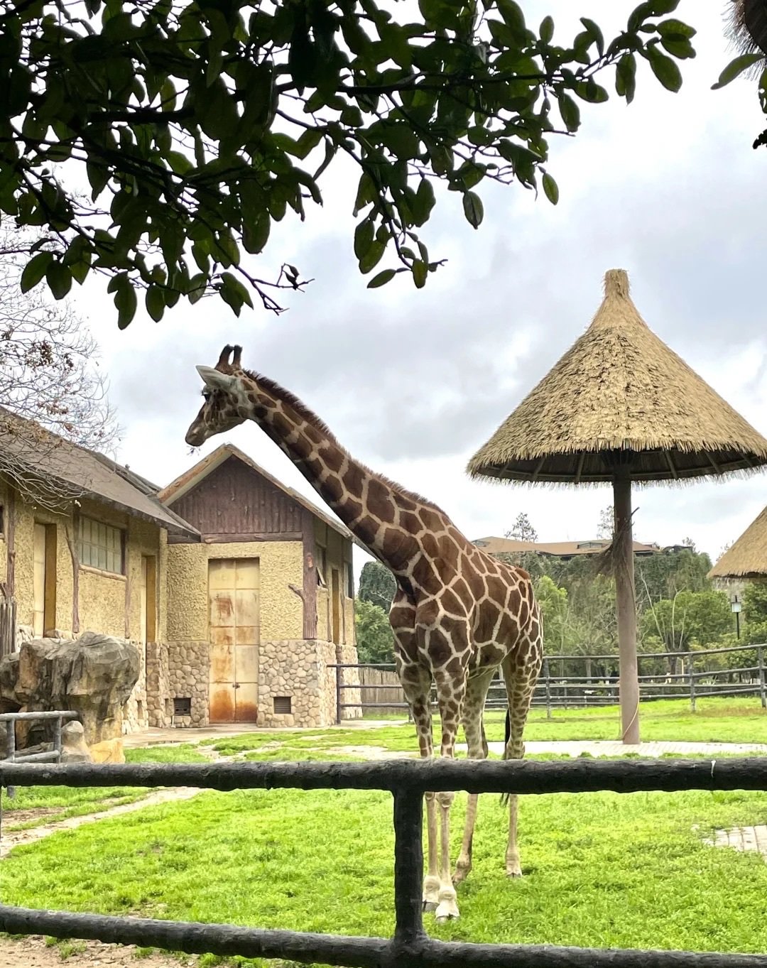 南昌動(dòng)物園