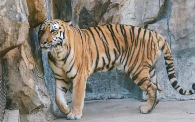 南昌動(dòng)物園