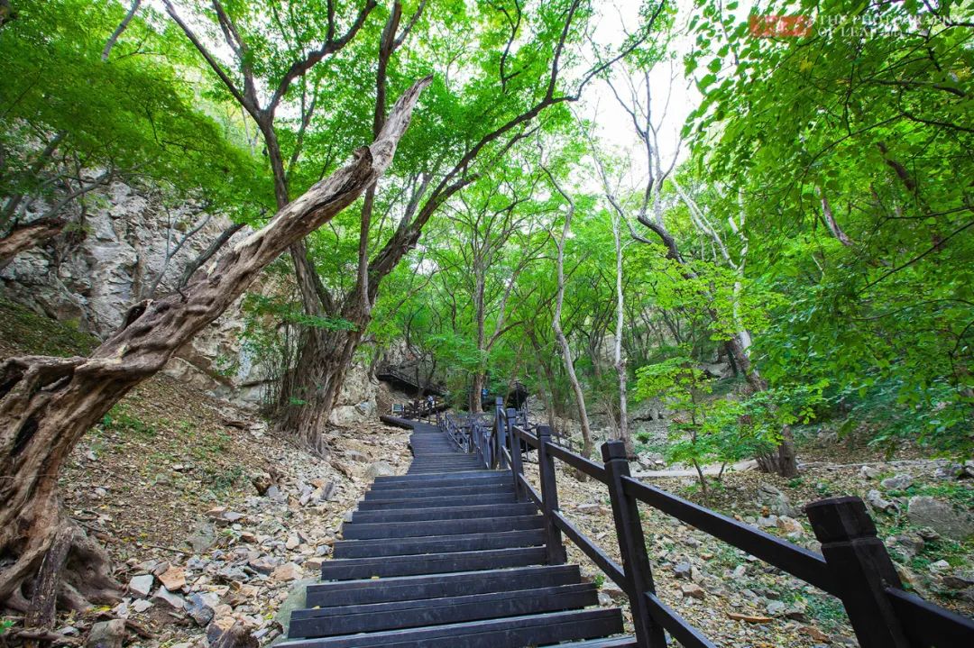 皇藏峪國家森林公園