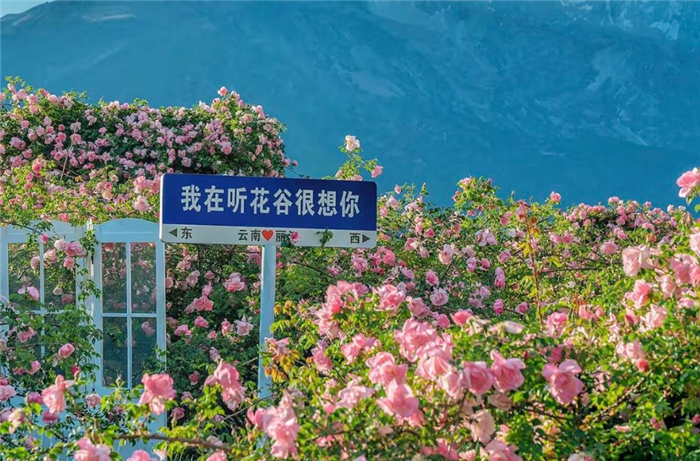 麗江百花園聽花谷