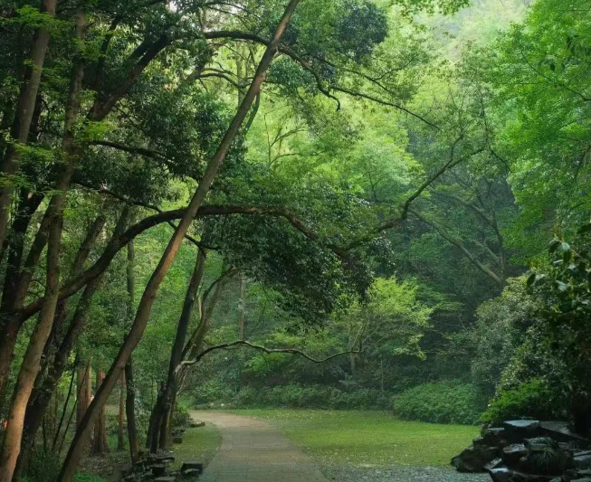 2025杭州虎跑公園門票價(jià)格+線上購票+景點(diǎn)介紹+游玩時(shí)間