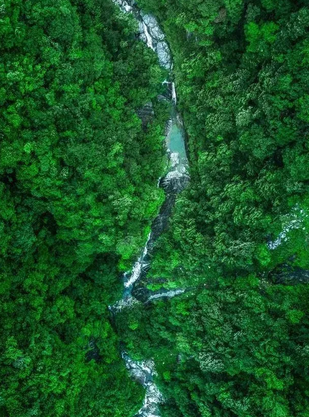 湖北旅游惠民卡