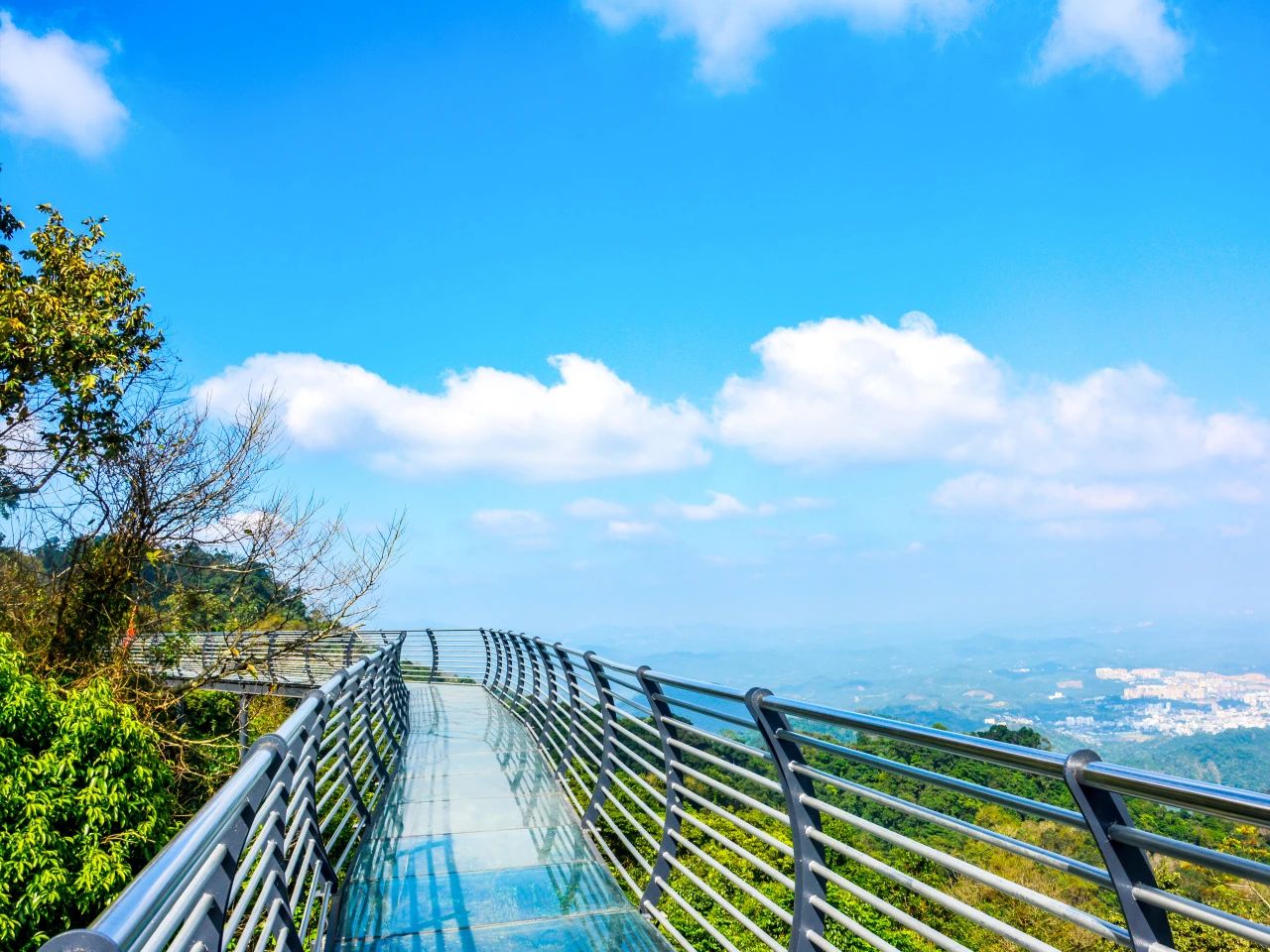 海南百花嶺