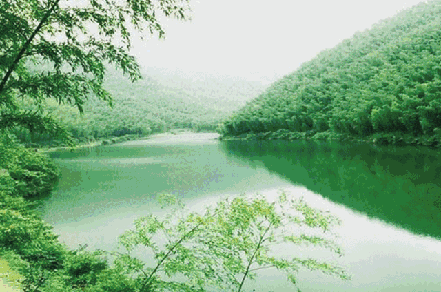 松嶺竹海漂流