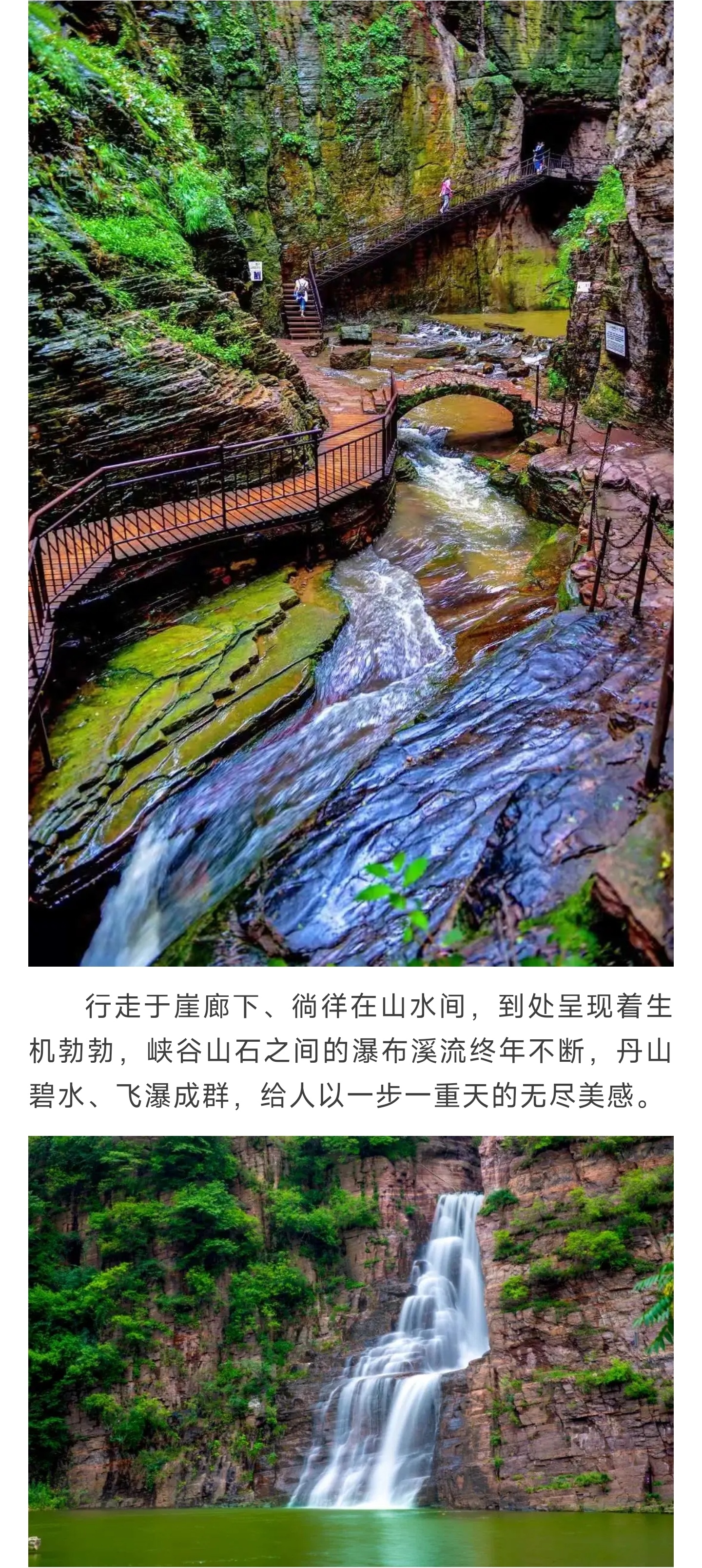 1_副本2.jpg