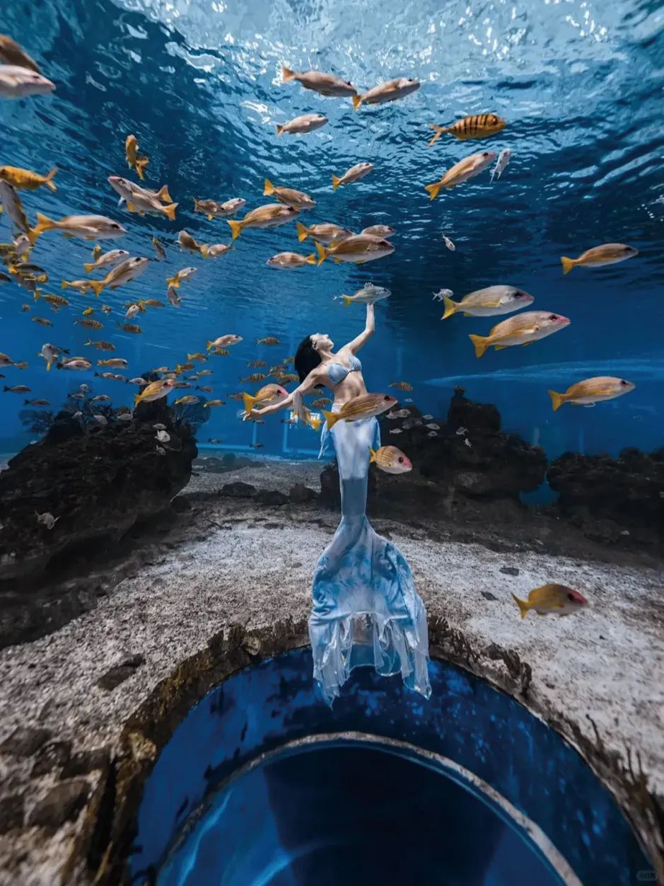廈門中魚視界海洋王國