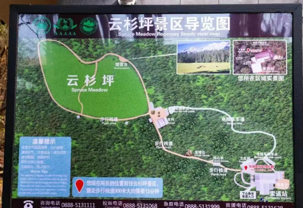 麗江云杉坪