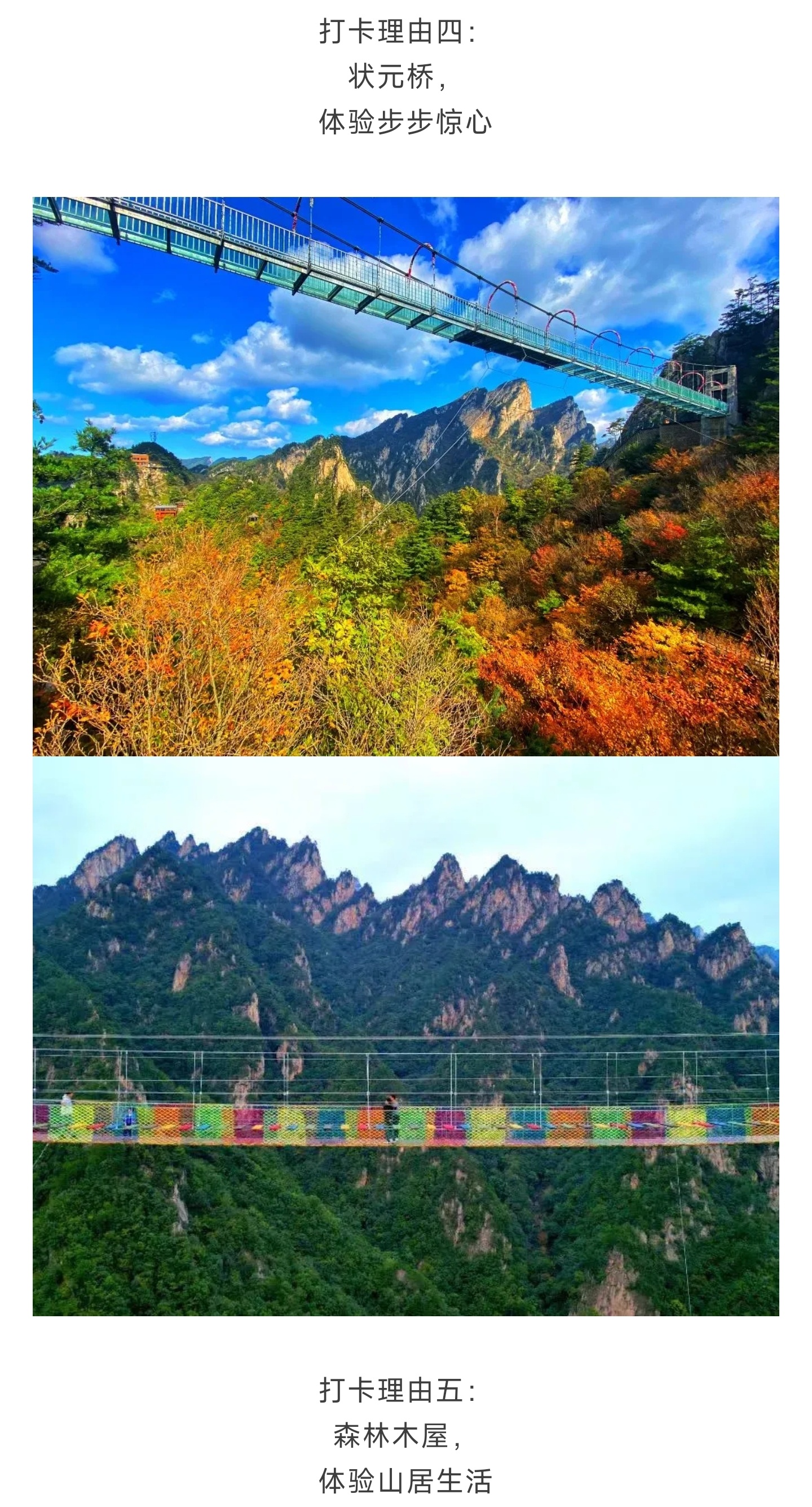 1_副本4.jpg
