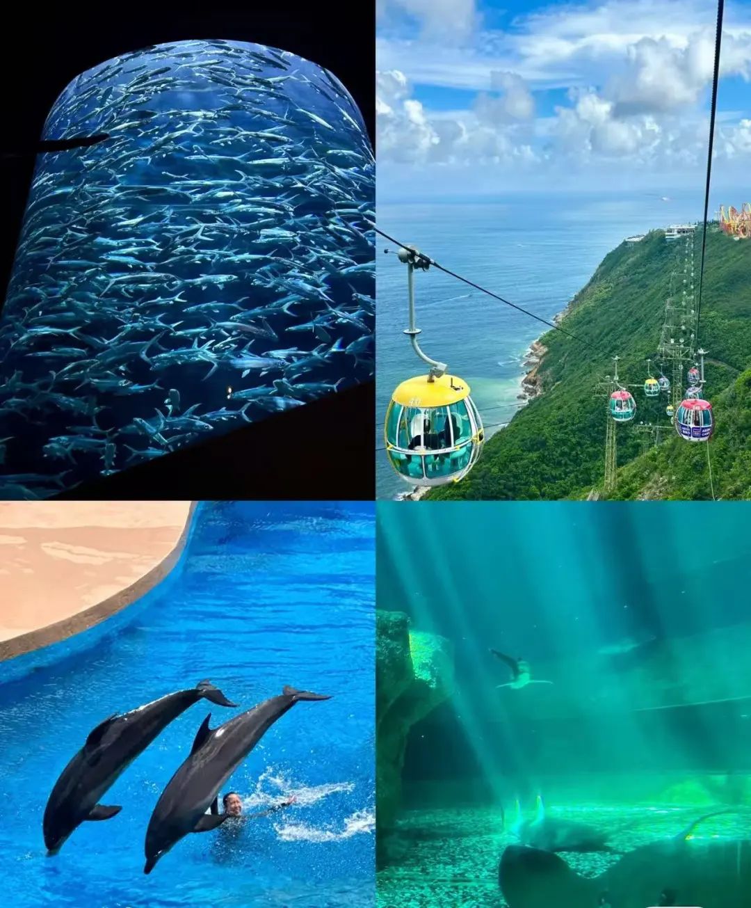 香港海洋公園