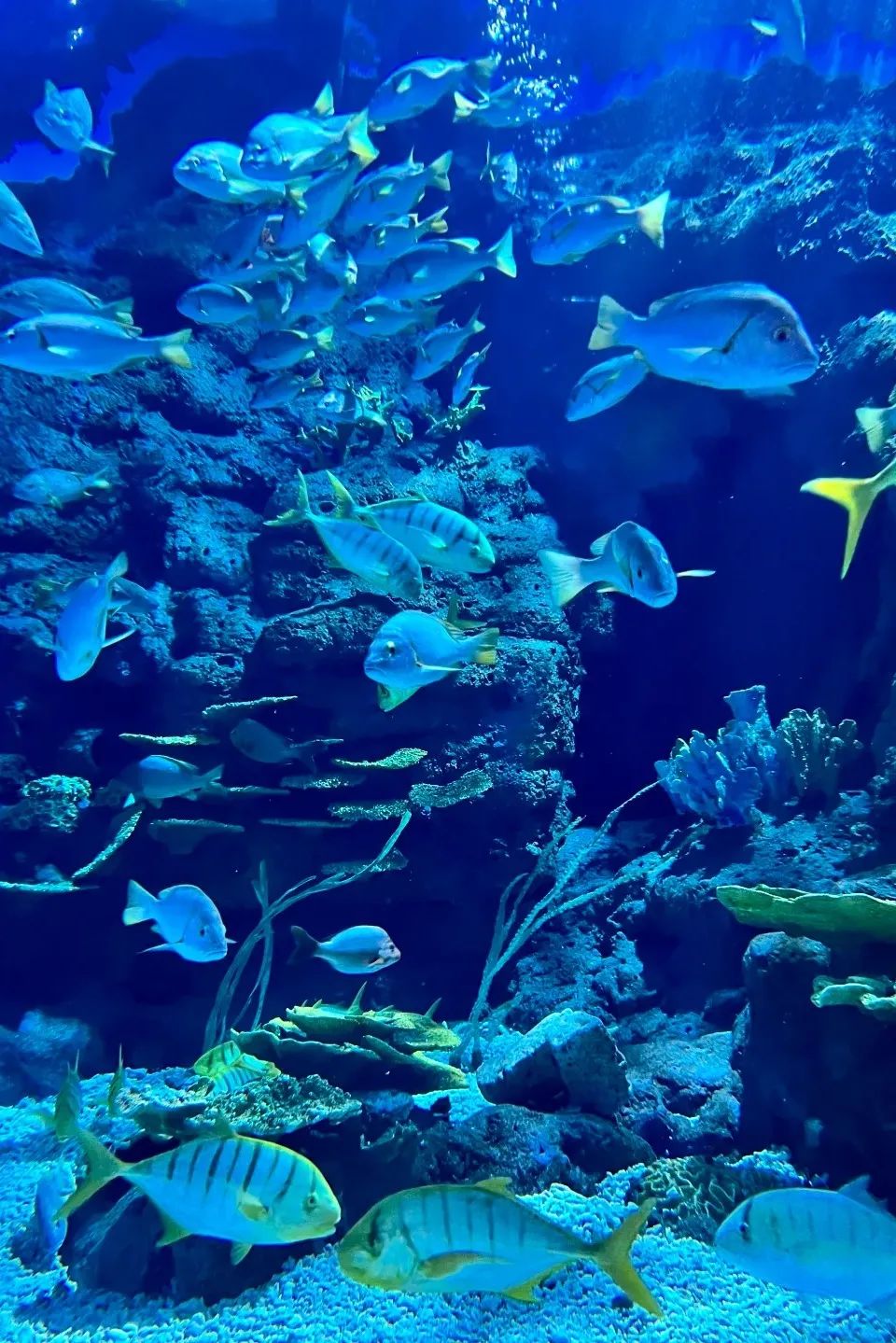 溫州極地海洋世界