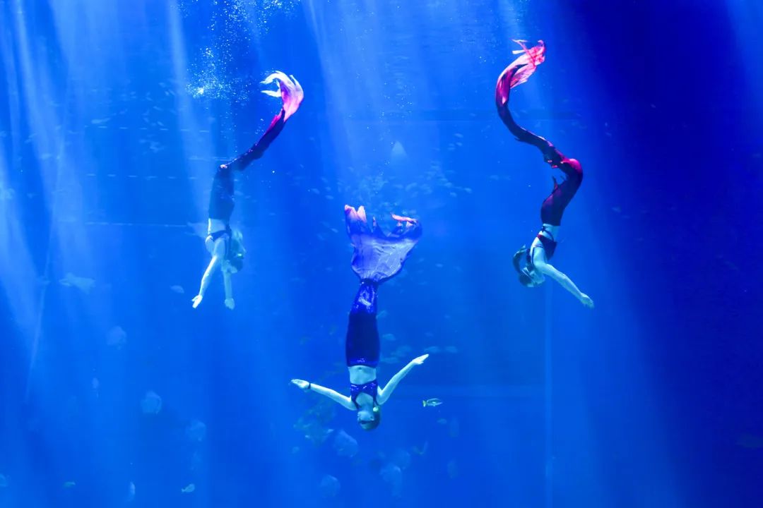 日照海洋公園