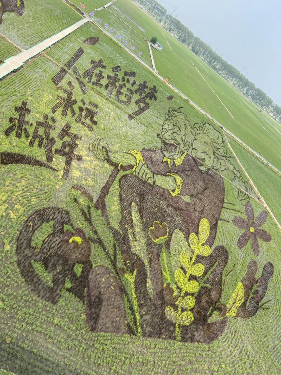 2025沈陽稻夢空間景區(qū)亮點(diǎn)+特色體驗(yàn)+票價收費(fèi)