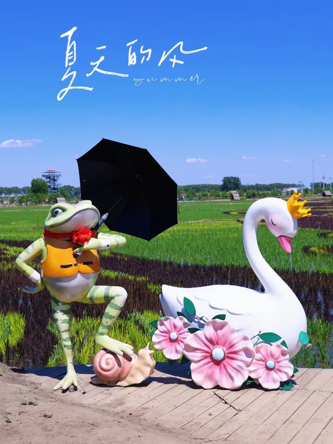 沈陽稻夢空間