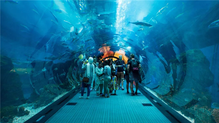 /uploads/image/2025/07/28/9e4b3343cad9a4b22179f25f48478c48.jpg