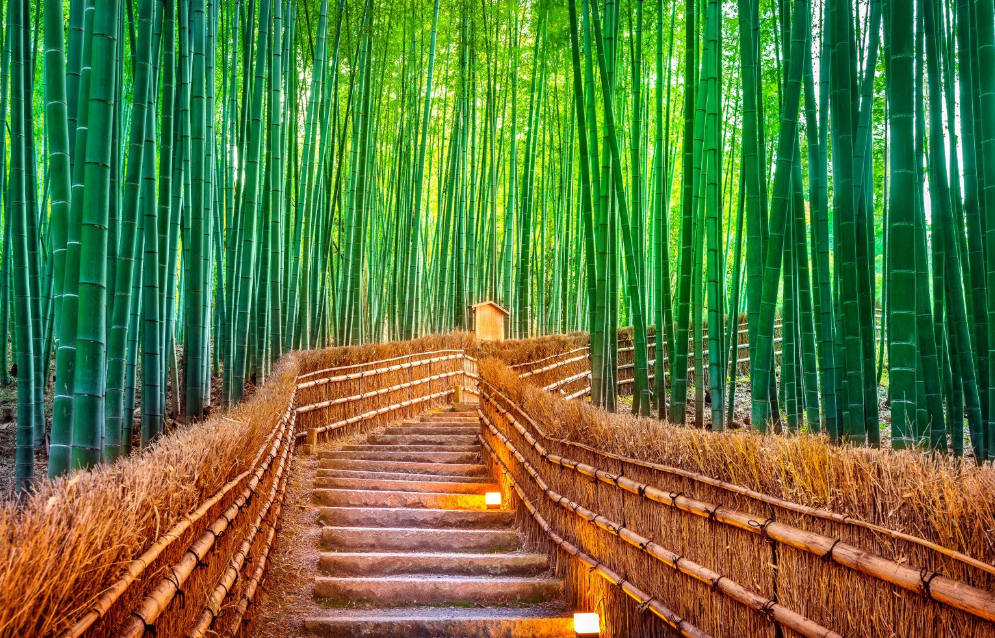 少林寺門票