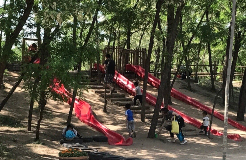 鄭州沙窩森林公園