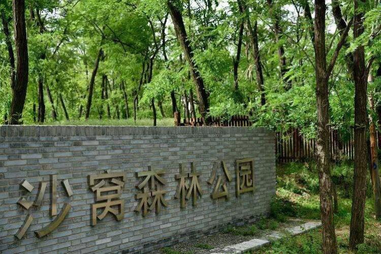 鄭州沙窩森林公園