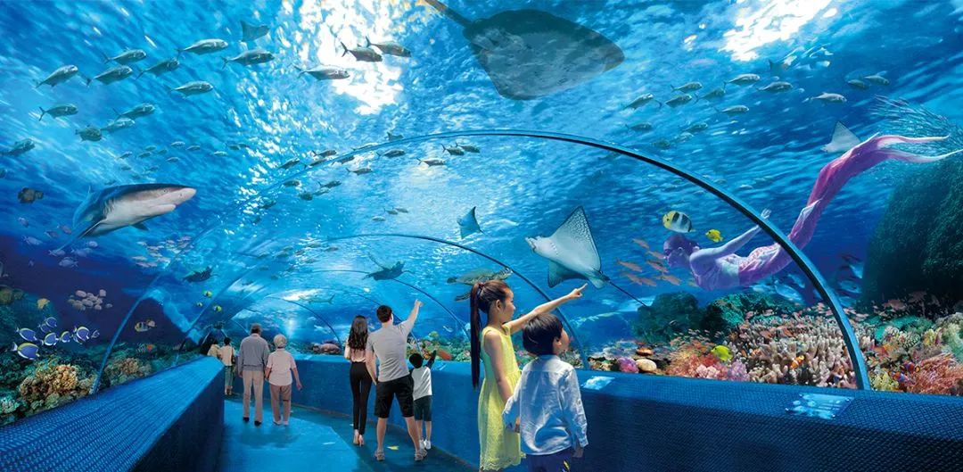 2025長沙海底世界游玩指南(附亮點特色+導覽圖)