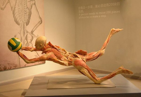 周莊生命奧秘博物館
