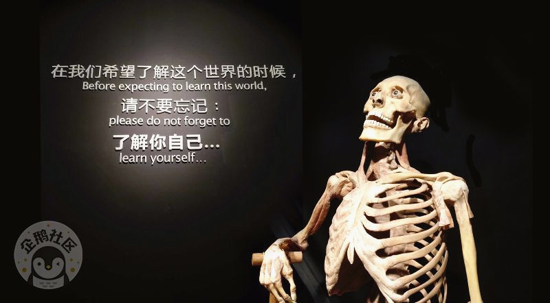 /uploads/image/2025/07/29/69dd49116f052443f068d9120afa2fc0.jpg