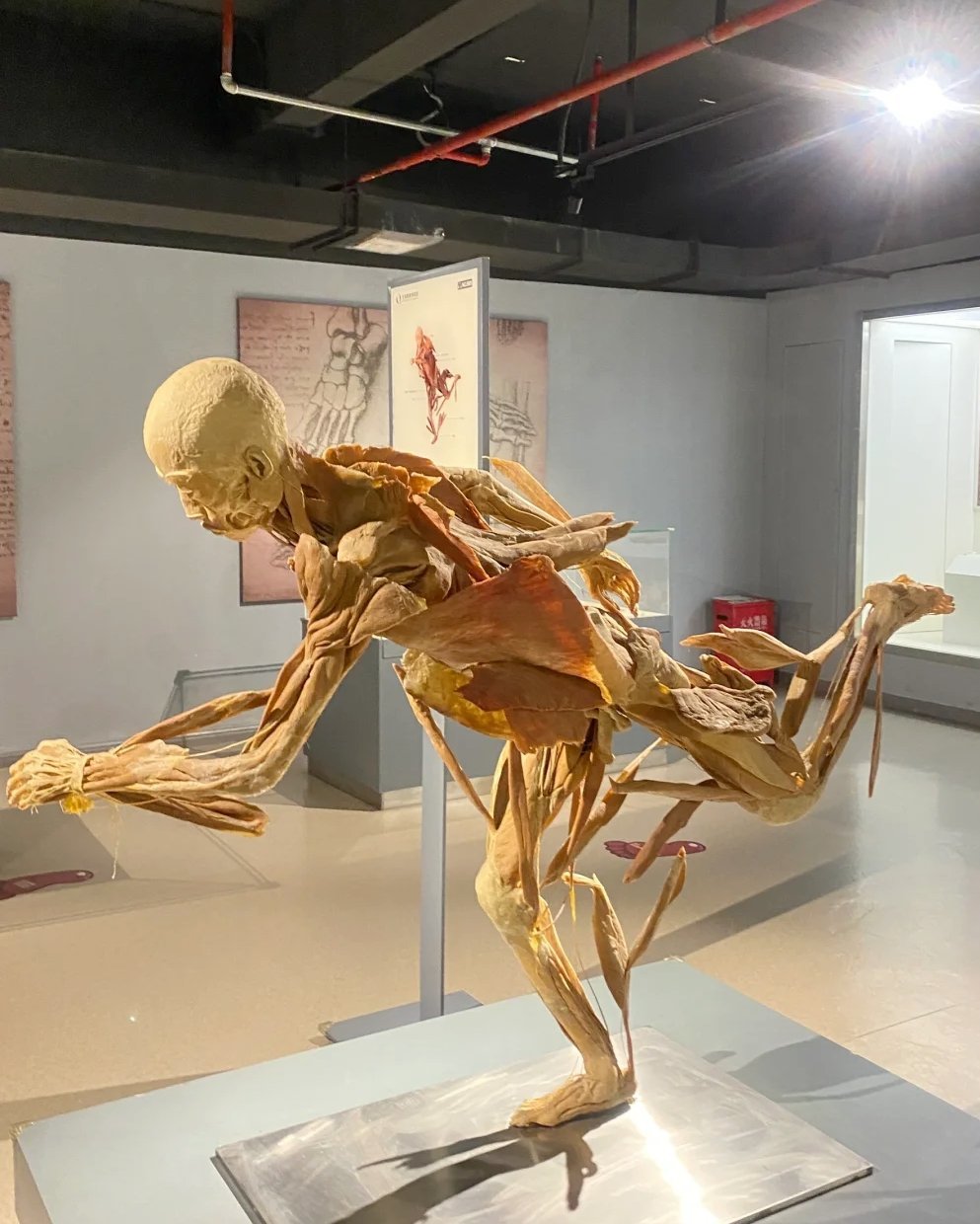 周莊生命奧秘博物館