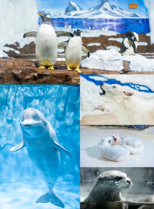 長沙海底世界