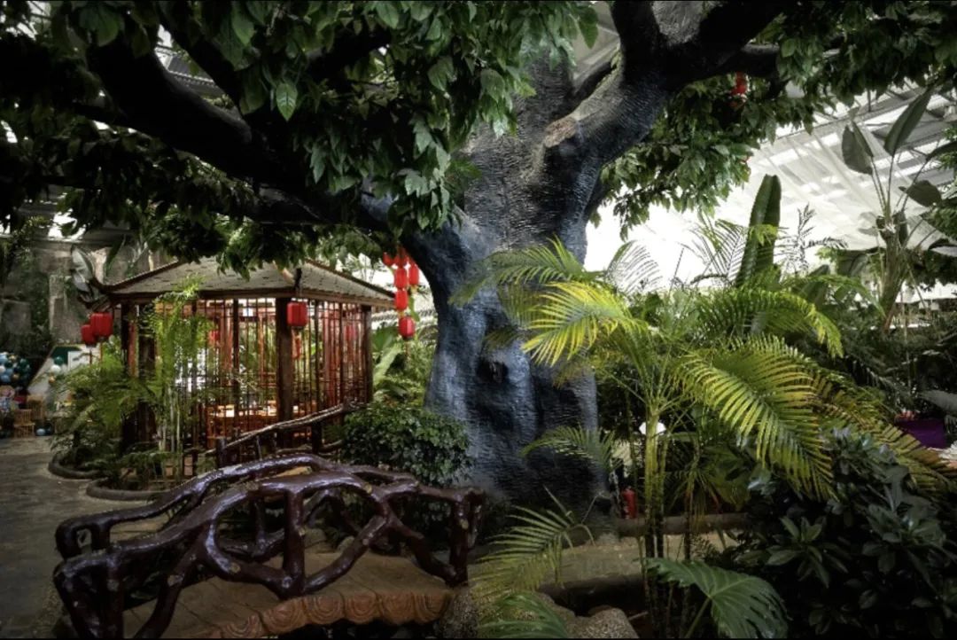 煙臺(tái)龍口動(dòng)植物園