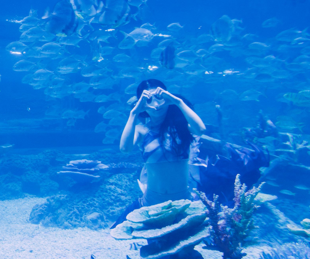 南海海洋親子樂園
