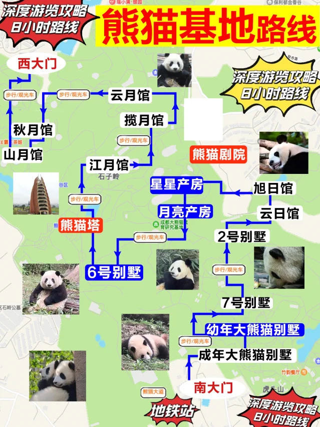 成都大熊貓繁育研究基地