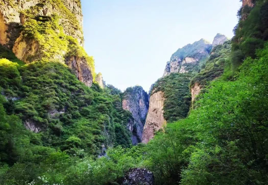 山西文旅年卡