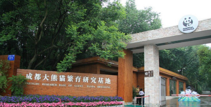 2025成都大熊貓繁育研究基地門票價(jià)格及優(yōu)待政策一覽(附門票預(yù)約+參觀時(shí)間+景點(diǎn)介紹)
