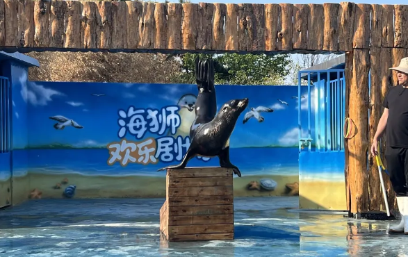 日照海昌海洋探索館
