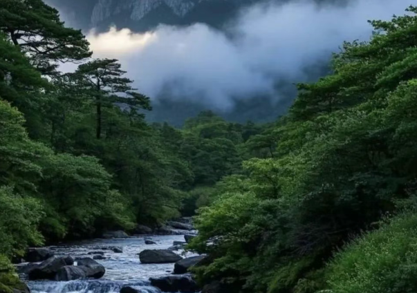 2025九江廬山風景區(qū)門票價格+免費政策+景點介紹+游玩時間