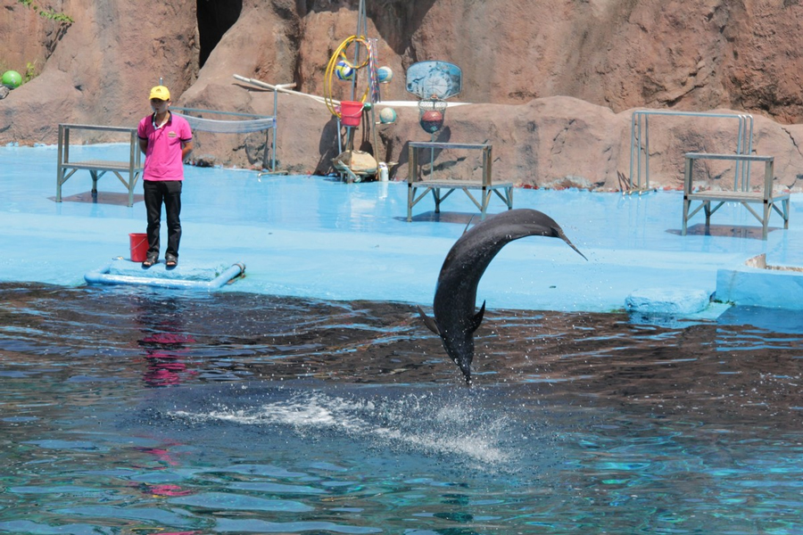 東莞香市動物園